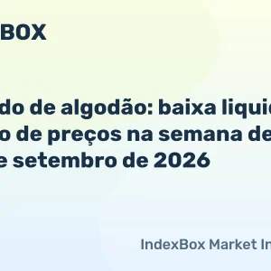 Algodão recua com baixa liquidez na semana de 21 a 25 de setembro de 2026 – News and Statistics