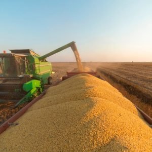 Sinop alcança US$ 1,71 bilhão em exportações e consolida 2º lugar em Mato Grosso; primeiro lugar no Nortão