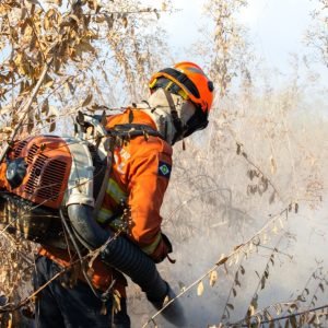 Corpo de Bombeiros combate seis incêndios florestais neste sábado (10)