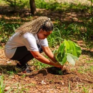 Meio ambiente realiza plantio de mais de 60 mudas de árvores próximo ao Lago Harry Müller