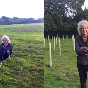 Em 2013, Brian May do Queen plantou um carvalho numa fazenda abandonada; dez anos depois, 100 mil árvores trouxeram de volta os animais para a região
