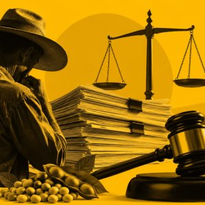 Pedidos de recuperação judicial no agro caem 20,7% no segundo trimestre