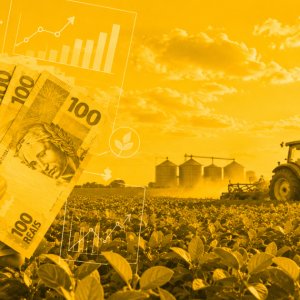 CJ Selecta fecha crédito verde de R$ 155 mi para compra de soja certificada
