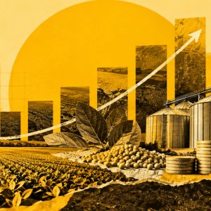 Fiagro muda de perfil cinco anos após criação e amplia crédito no agro