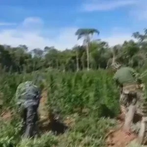 Ação na fronteira com Paraguai mira tráfico de facções