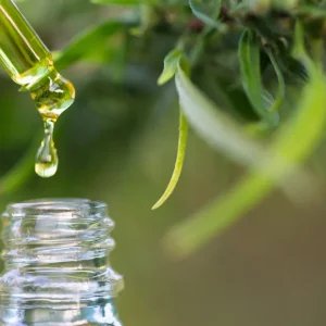 Planos de saúde podem negar custeio de canabidiol domiciliar, decide STJ