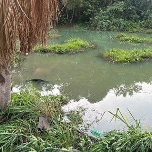 Carro cai em lago após colisão e deixa duas crianças feridas em Lucas do Rio Verde