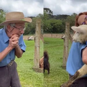 Fisioterapeuta decide surpreender paciente de 93 anos no aniversário; o presente pouco comum arrancou lágrimas
