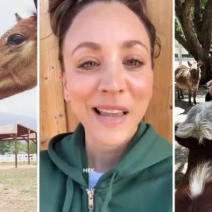 Estrela de Big Bang Theory, Kaley Cuoco comprou rancho para praticar hipismo e o transformou em santuário para mais de 100 animais resgatados