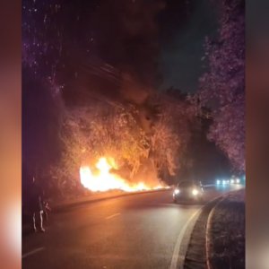 Incêndios na Amazônia: Direita critica demora; governo se mobiliza