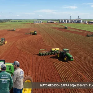 Plantio da soja passa de 51% em Mato Grosso, mas regiões ainda têm ritmos diferentes
