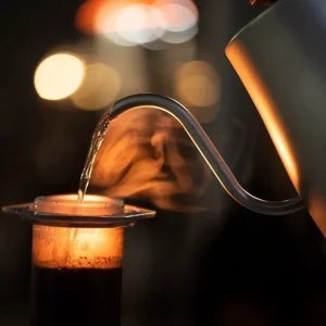 Gingeróis, fenólicos e aroma picante: a alquimia do café com especiarias