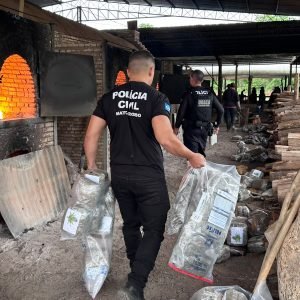 Polícia Civil incinera mais de 400 kg de drogas e chega a 4,4 toneladas destruídas em Cáceres