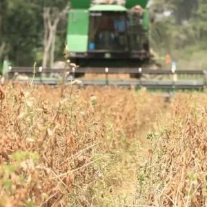 Importação de máquinas agrícolas sobe 42%; vendas internas caem 16%