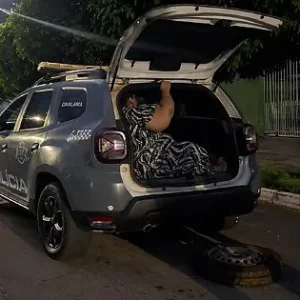 Mesma equipe da PM prende mulher com mandado pela 3ª vez em Mutum (MT)