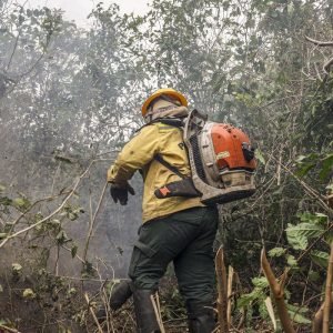 Amazonas tem 540 focos de incêndio nas últimas 48 horas