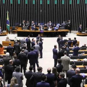 Cresce número de mulheres eleitas para o Congresso Nacional