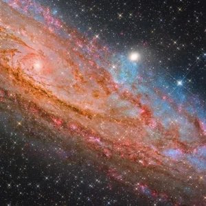 Cientistas recrutam voluntários para caçar e identificar novos buracos negros na Via Láctea