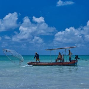 Revisão de regras para pesca amadora está em consulta pública