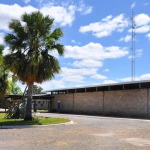 Embrapa é designada como Centro de Referência para Florestas Plantadas