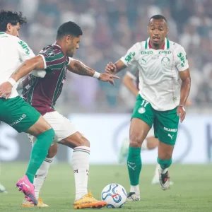 Fluminense 1 x 2 Palmeiras: veja os melhores momentos pela Libertadores