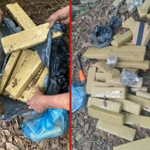 Trilha perto de restaurante leva polícia a depósito de drogas em mata