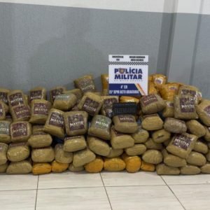Caminhoneiro é preso ao transportar 202 kg de skunk em carga de milho