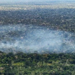 Estudo aponta atividade humana nas emissões de carbono na Amazônia
