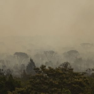 Força Nacional do SUS apoia atendimentos no Amazonas após incêndios