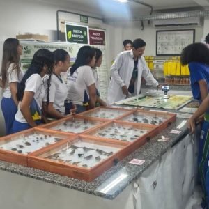 Feira do Clube de Ciências Decolar reúne estudantes da Rede Estadual em projetos de pesquisa
