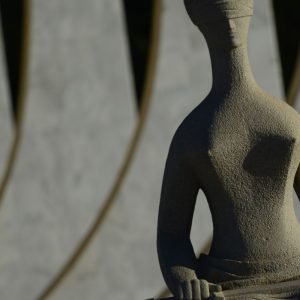 Homem é retirado do STF após tentar entrar dizendo ser “imperador”