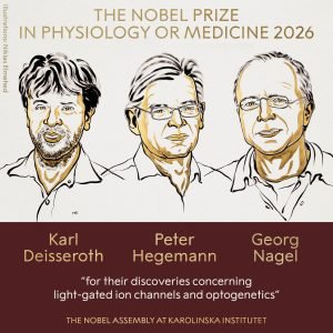 Nobel de Medicina 2026 vai para Karl Deisseroth, Peter Hegemann e Georg Nagel
