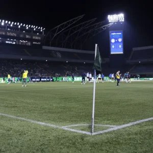 Saiba por que Palmeiras x Red Bull Bragantino será na Arena Barueri