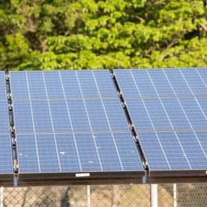 5º leilão do Eco Invest atrai quase R$ 50 bi para investimentos verdes