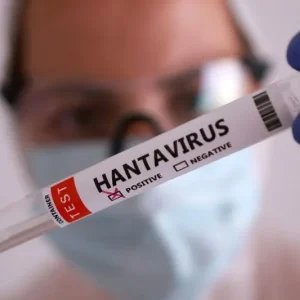 SP registra quatro casos de hantavirose em 2026; letalidade é de 51%