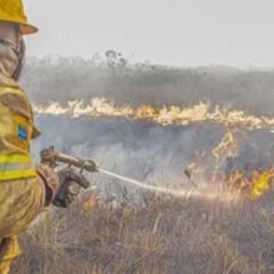 Governo investiga se há organização por trás dos incêndios no Amazonas
