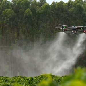 União Europeia quer flexibilizar regras para agrotóxicos; especialistas alertam para riscos