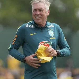 Seleção: assista ao vivo e com imagens à última convocação do ano