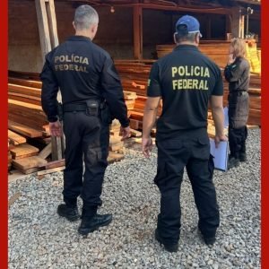 Comércio ilegal de madeira em MT, GO e MG é alvo de operação da PF