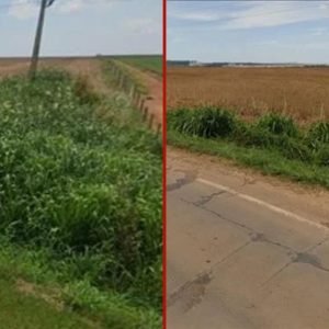 Fazenda vai a leilão em MT por R$ 10,5 milhões
