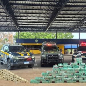 3 pessoas são presas com caminhão com mais de 500 tabletes de cocaína