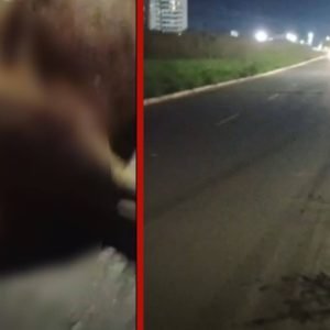 VÍDEO: capivara é encontrada morta após possível atropelamento em avenida de Cuiabá