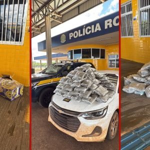 Casal é preso com mais de 50 kg de skunk em porta-malas de carro em MT