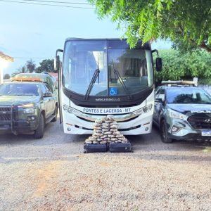 Drogas são apreendidas em ônibus de MT que transporta pacientes