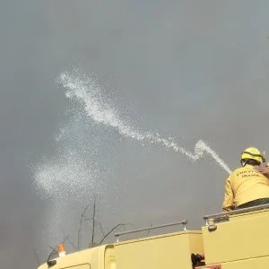 Bombeiros controlam incêndio em área de mata na UnB